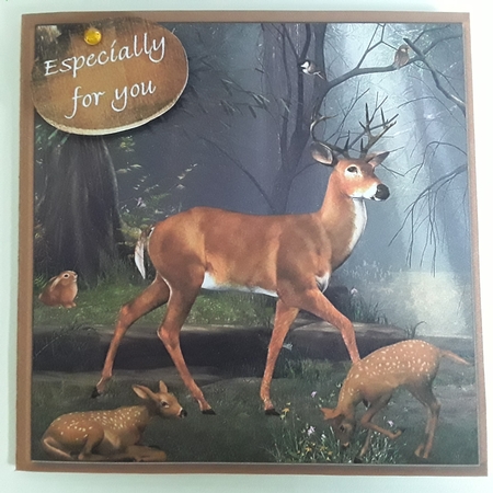 Woodland Family 6 x 6 Card and Envelope Mini Kit by Pam Ogilvy