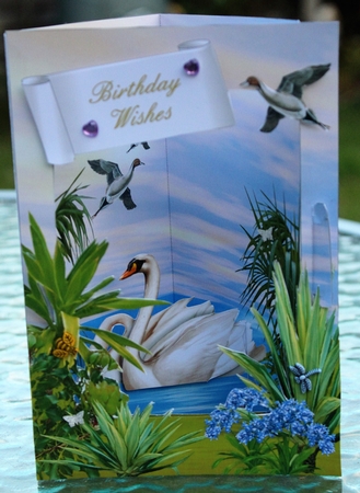 3D Corner Card Kit - Swan River Bank by Pam Sperling