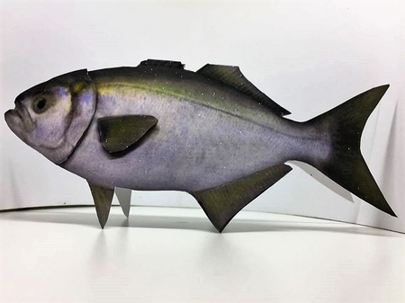 Tailor Fish Shaped Card with 3D Elements by Pam Sperling