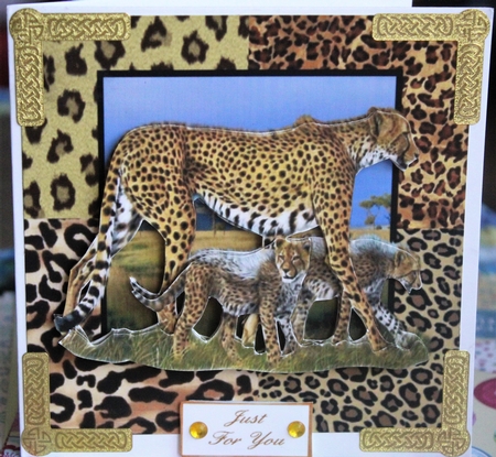 A Walk on the Wild Side Step by Step by Pam Sperling