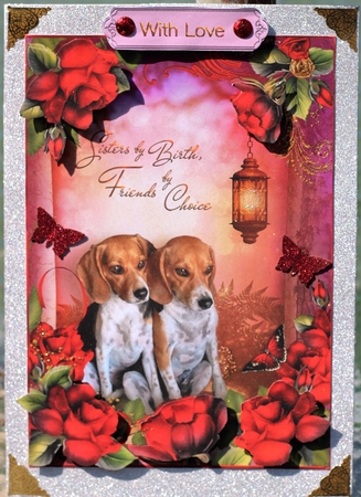 Sisters by Birth, Friends by Choice by Pam Sperling