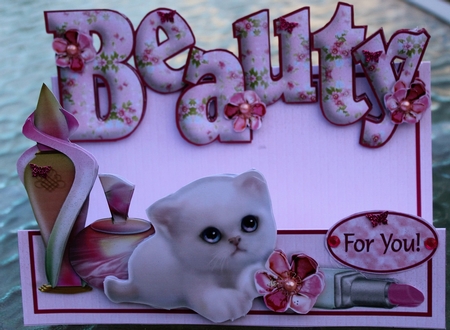 WORDS & PICTURES STEPPER KIT - Beauty by Pam Sperling