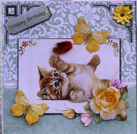 Cat and yellow butterflies by Pam Sperling