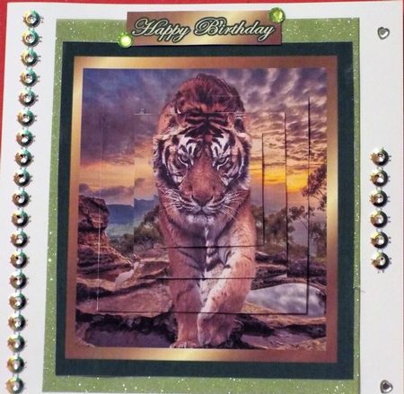  love of tigers by Pam Sperling