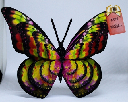 Butterfly Shaped A Frame Card - B20 by Pam Sperling