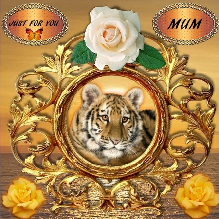 Victorian Frames by Pam Sperling