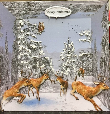 3d winter by Pam Sperling