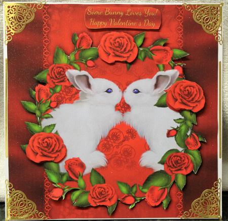 Some Bunny Loves You Mini Valentine's Day / Anniversary Kit by Pam Sperling