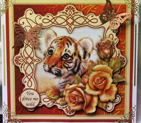 Tiger Cub & Roses 7.5 Decoupage Mini Kit All Occasions by Pam Sperling