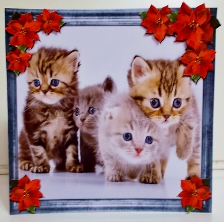 Pet Lovers Christmas 15 by Pam Stubley