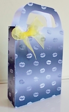 Silver bling gift bag 4 by Pam Stubley