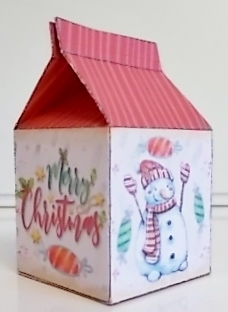 2019 Christmas Milk carton 1 by Pam Stubley