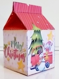2019 Christmas Milk carton 10 by Pam Stubley