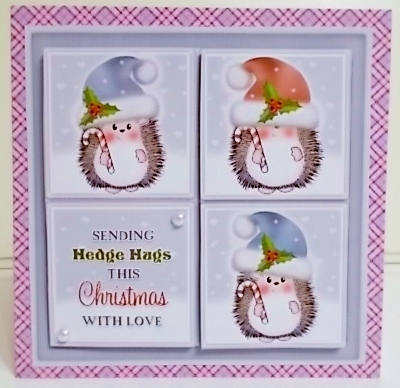 Hedge Hug Squares 2 Mini Kit by Pam Stubley