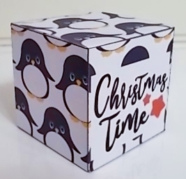 All In One Gift Box - Rows of Penguins by Pam Stubley