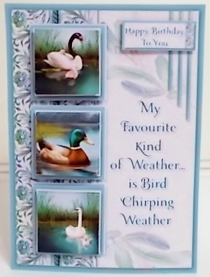 The Bird Watcher by Pam Stubley
