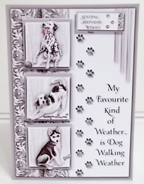 The Dog Walker by Pam Stubley