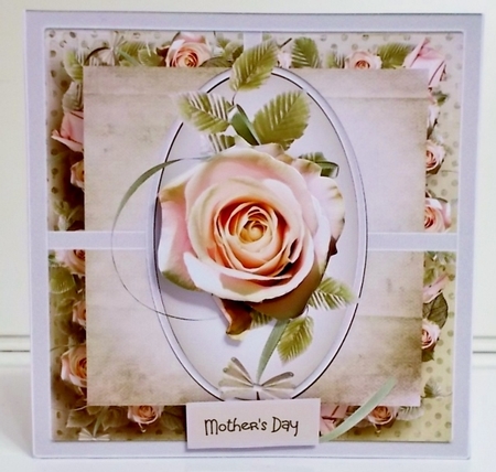 A single pink rose by Pam Stubley