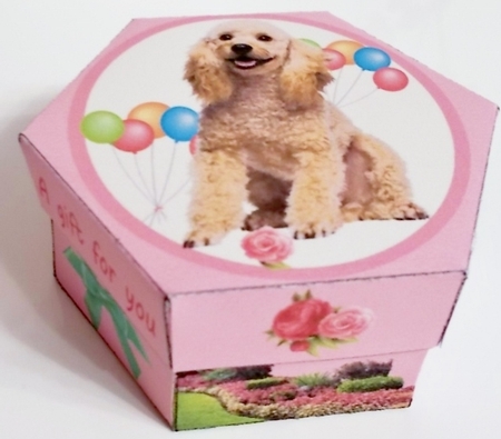 BIRTHDAY BOX by Pam Stubley