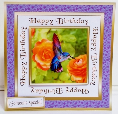 SC Hummingbird with roses by Pam Stubley