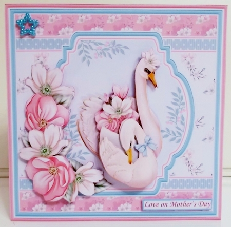 SWANS Mixed Occasions Decoupage & Inserts Bumper Kit by Pam Stubley
