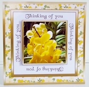 SC Yellow orchids - Thinking of you. by Pam Stubley