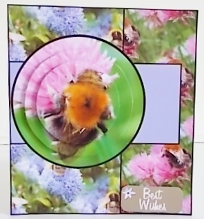 Busy Bees by Pam Stubley