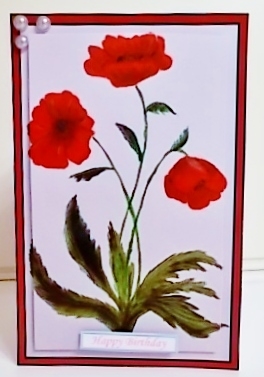  poppies wild flowers by Pam Stubley
