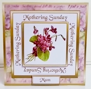 SC Vintage Violets MS by Pam Stubley