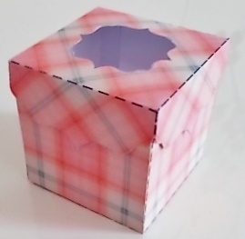 FANCY TOP CUBE BOX - TARTAN 1 by Pam Stubley
