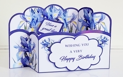 Wiper Blue Irises by Pam Stubley