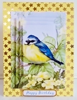 Blue Tit Mini Gift Bag by Pam Stubley