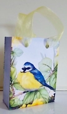 Blue Tit Pyramid by Pam Stubley