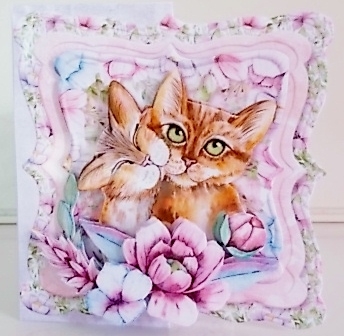 The Cats Whiskers 6x6 Cards by Pam Stubley