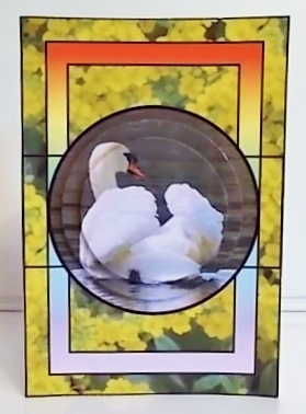 Nature in Spring time by Pam Stubley