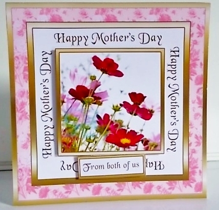SC Summer Flowers MD by Pam Stubley