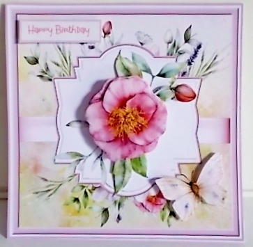 Camelia 7x7 card by Pam Stubley
