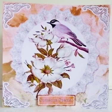 Pretty bird on a branch with flowers and lace peach 8x8 by Pam Stubley