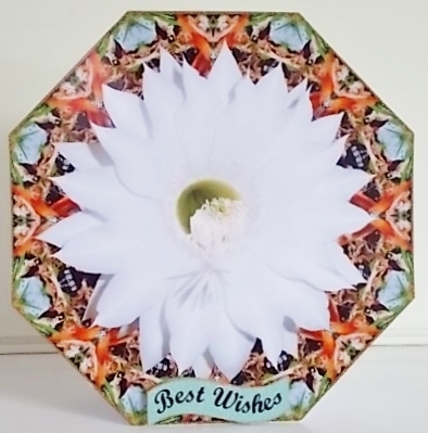 Octagon Topper With Cactus Flower 2 by Pam Stubley