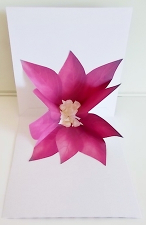 A Deco-dent Christmas Explosion Card Kit by Pam Stubley