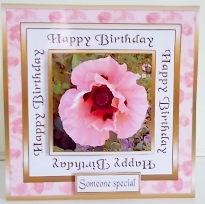 SC Pink poppy BD by Pam Stubley