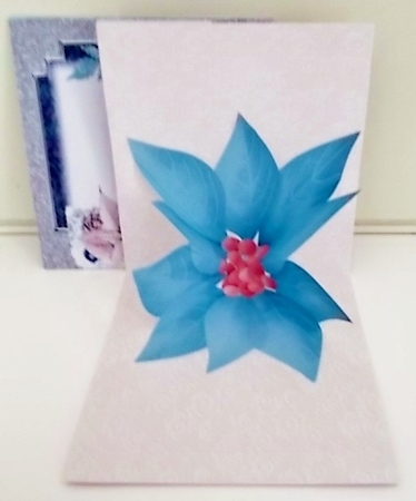 Winter Sophistication Explosion Card Kit by Pam Stubley