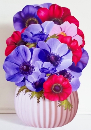 SFV Anemones by Pam Stubley