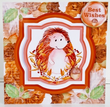 Autumn hedgehog card front by Pam Stubley