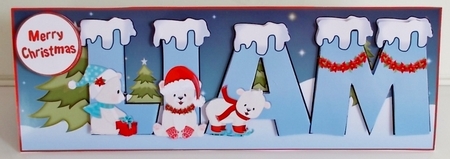 POLAR BEAR NAMES - LIAM by Pam Stubley