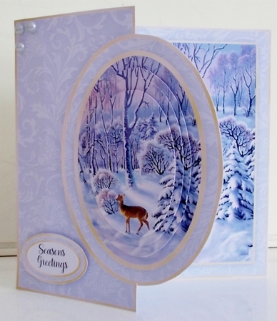 Winter Half Front Card Bumper Kit by Pam Stubley
