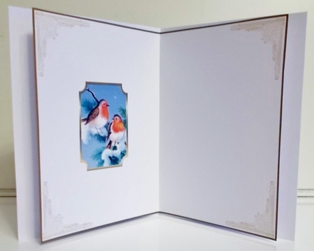 Christmas Snow Robin Insert Blank by Pam Stubley
