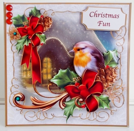 Robin on a Branch - Decoupage Card Mini Kit by Pam Stubley