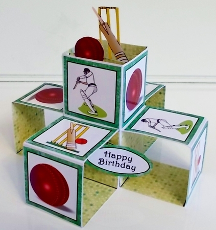 Pop-up cube Cricket by Pam Stubley