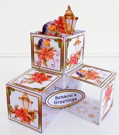Pop-up cube Robin & Lantern by Pam Stubley